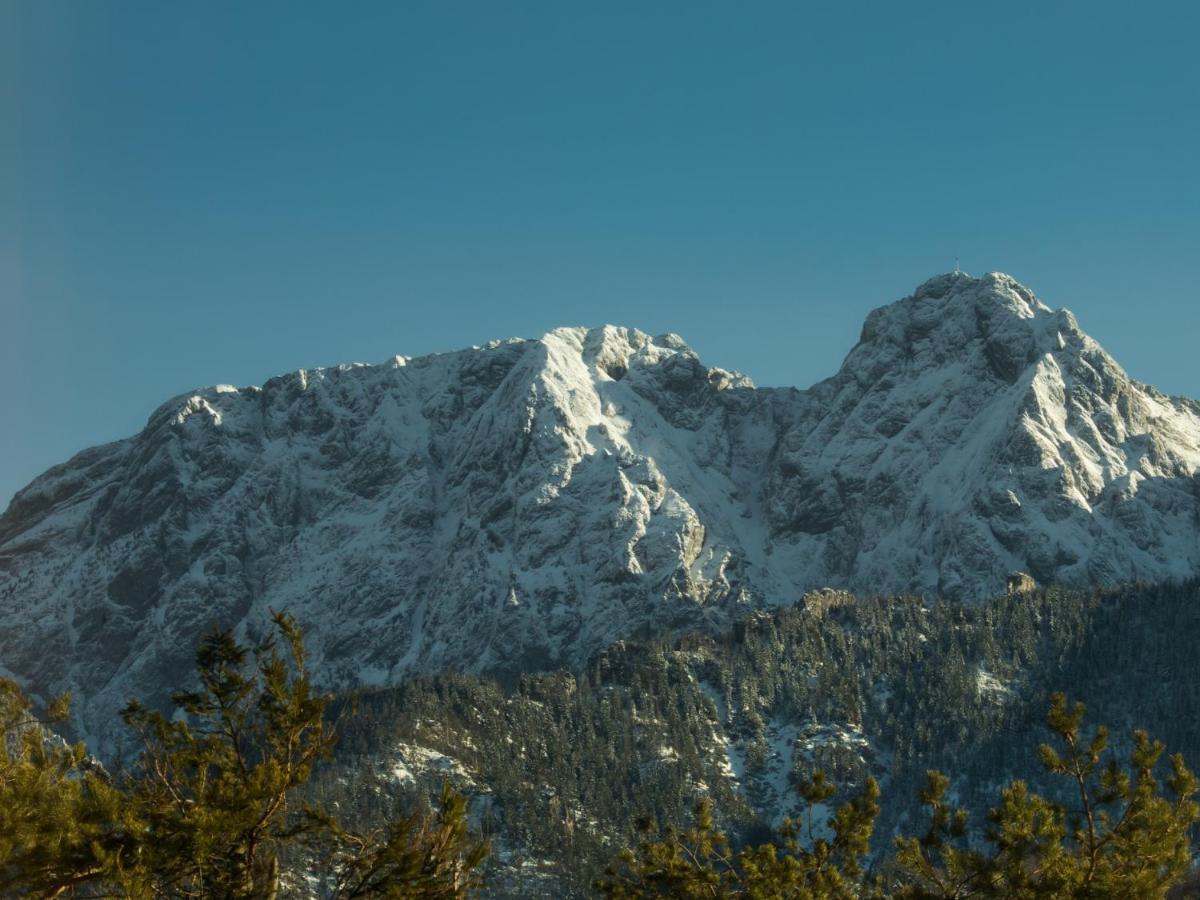 Domek W Zasiegu Tatr Kościelisko Exteriér fotografie